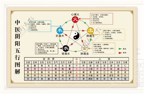 周 五行